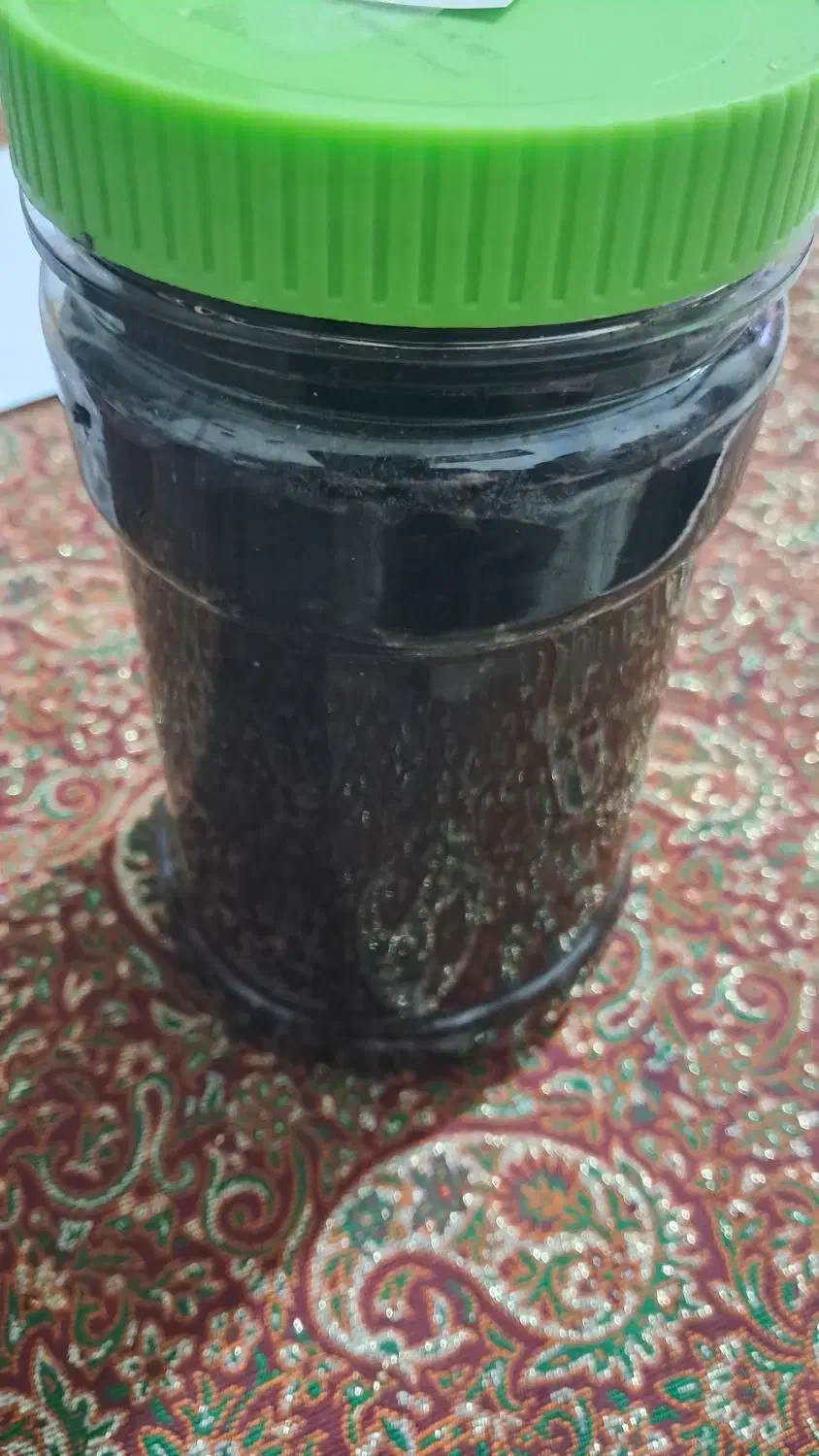 ترشی آلوچه|خوردنی و آشامیدنی|محمدیه-قزوین, |دیوار
