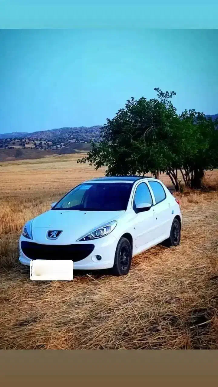 ۲۰۷ پانا دستی اتاق تعویض|خودرو سواری و وانت|آبدانان, |دیوار