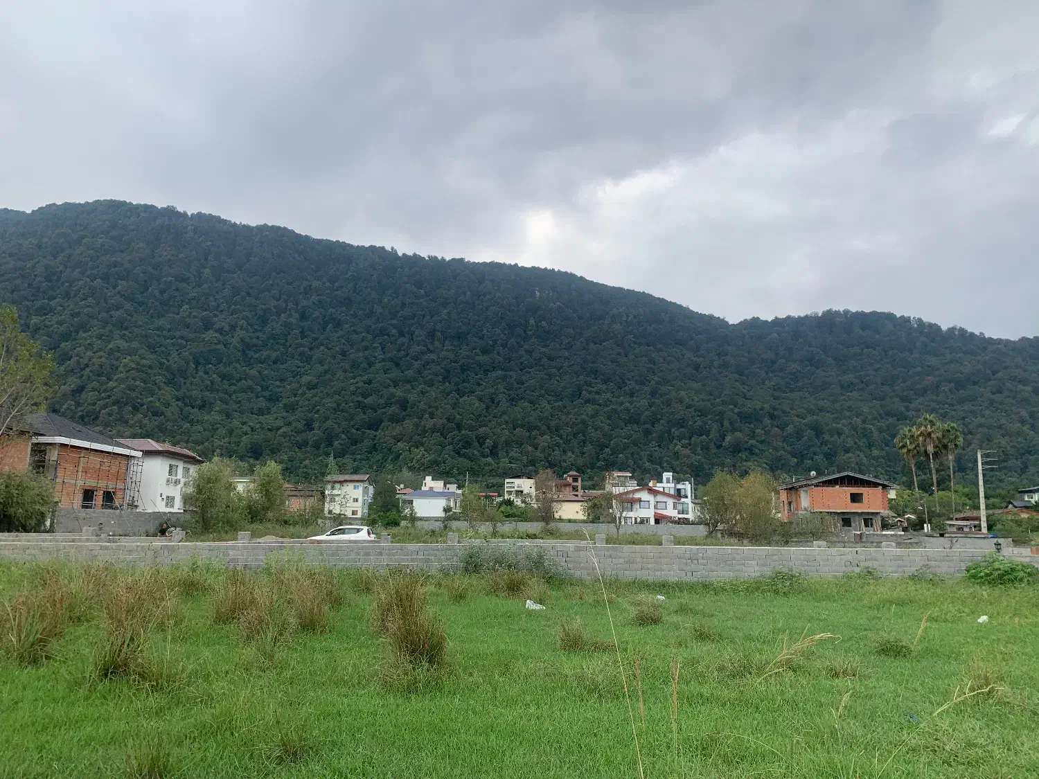 علف تراشی با دستگاه از چالوس تا متل قو|خدمات باغبانی و درختکاری|چالوس, |دیوار