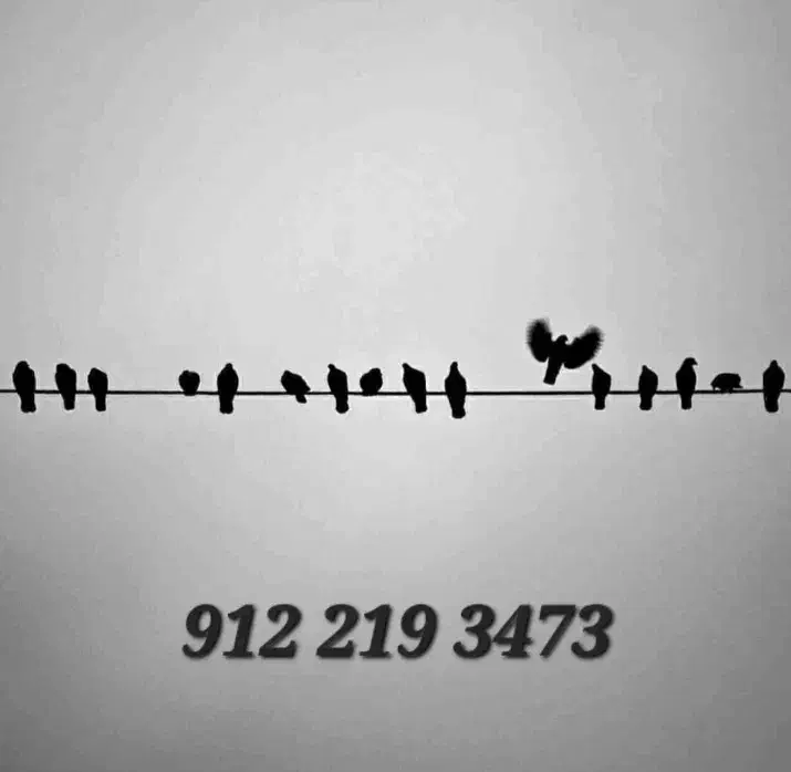 خط صفر|سیم‌کارت|تهران, صادقیه|دیوار