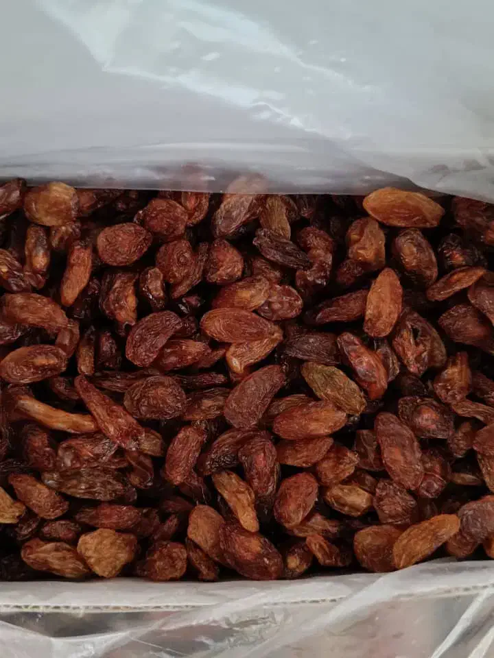 فروش خشکبار بصورت کلی و جزئی ارسال از کاشمر|خوردنی و آشامیدنی|مشهد, کوی سیدی|دیوار