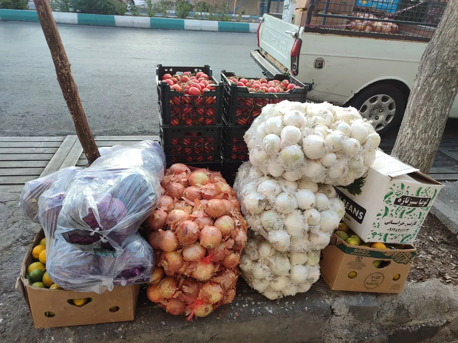 پخش تره بار رستوران و کبابی ها|عمدهفروشی|تهران, میدان میوه و ترهبار مرکزی|دیوار