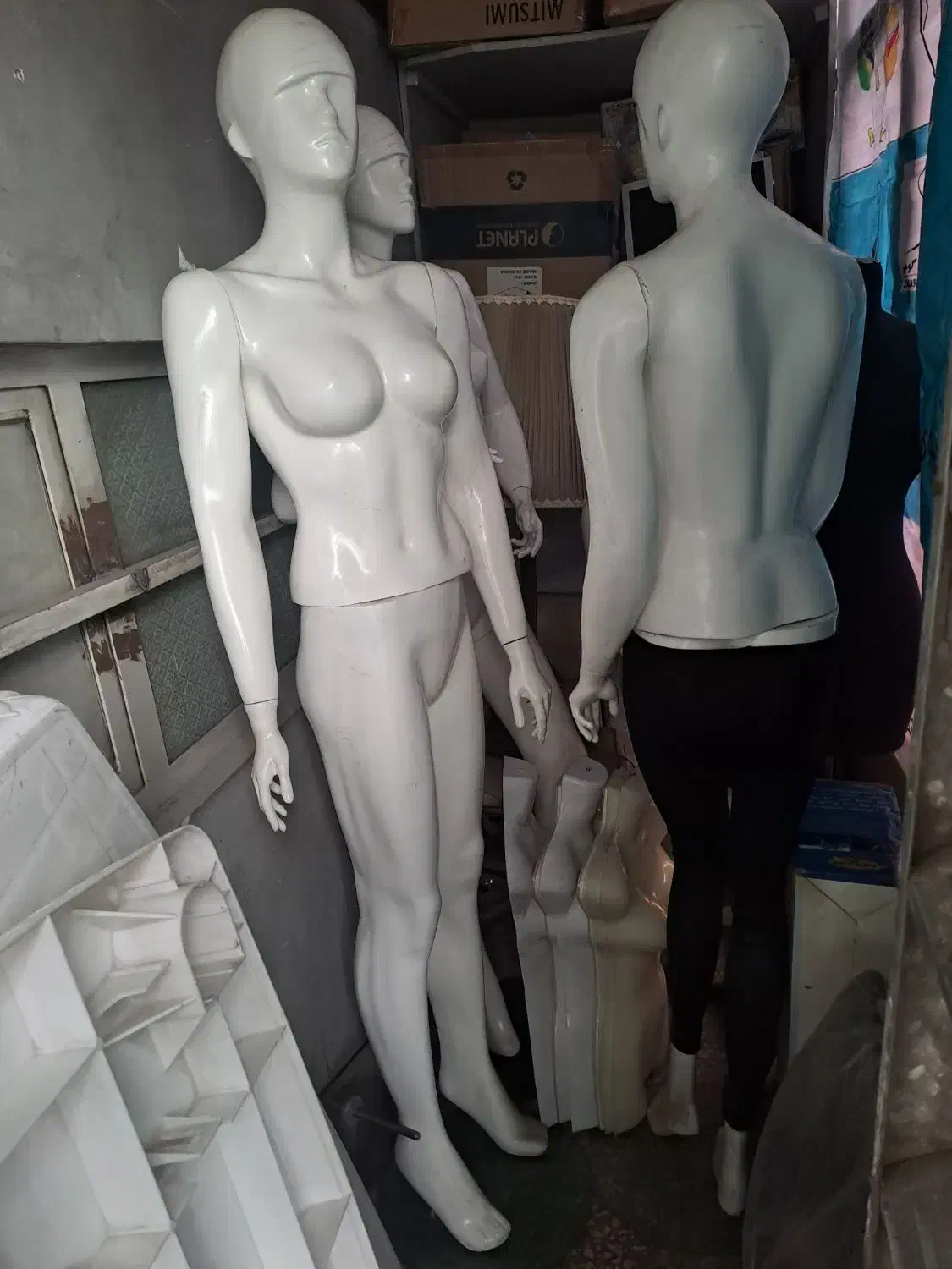 مانکن|فروشگاه و مغازه|تهران, نیلوفر|دیوار