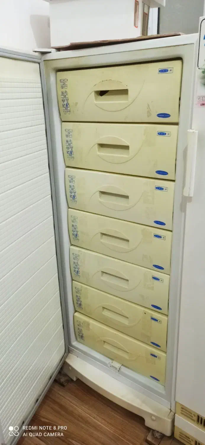 فریزر|یخچال و فریزر|دهلران, |دیوار