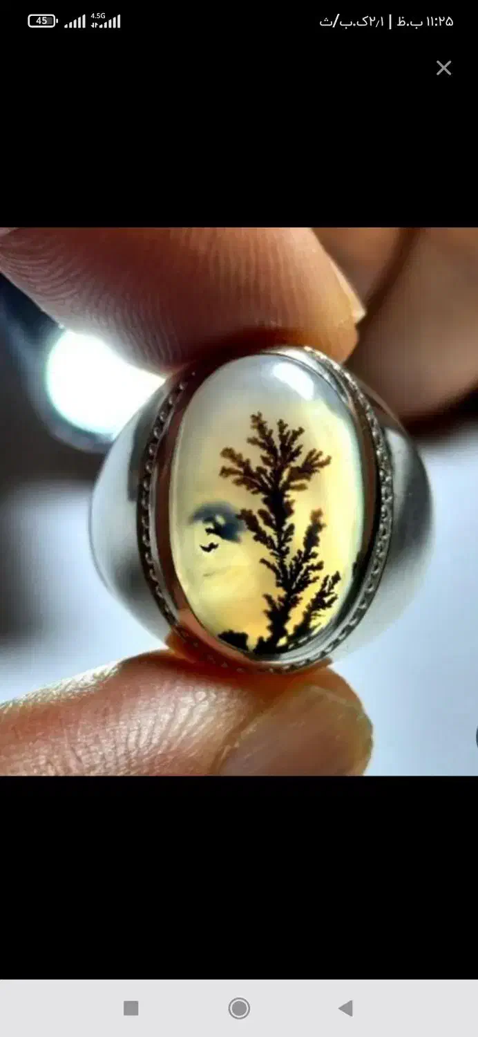 انگشتر شجر تشخیص|کلکسیون اشیاء عتیقه|باوی, |دیوار
