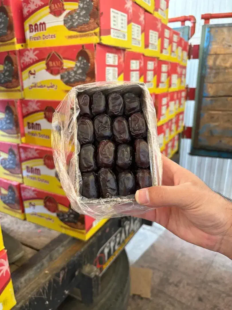 فروش خرما مضافتی با قیمت مناسب|عمدهفروشی|قم, خداکرم|دیوار