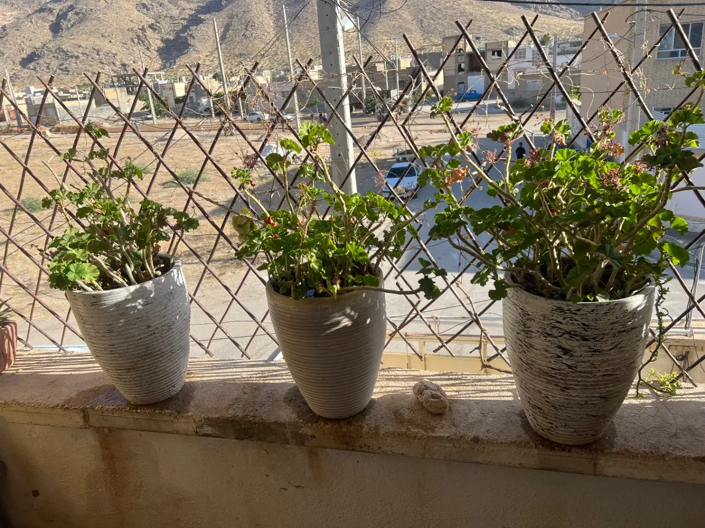 فروش یک واحد  منزل مسکونی  استهبان بنیادمسکن|فروش آپارتمان|استهبان, |دیوار