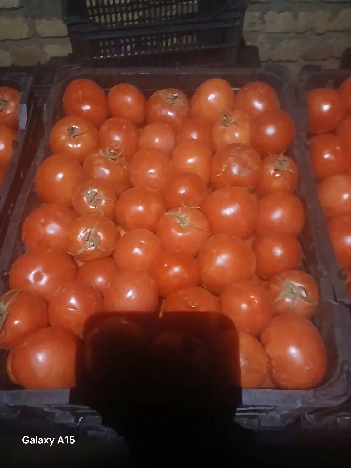 گوجه درجه یک|عمدهفروشی|ازنا, |دیوار