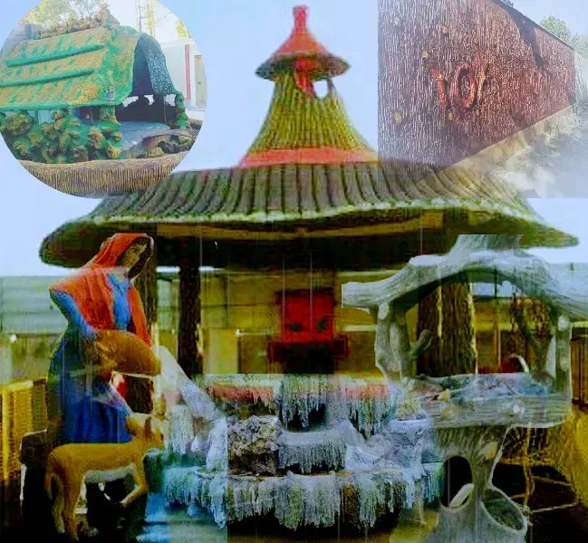 اجرای صفر تا صد فضا سازی باغ و ویلا|خدمات باغبانی و درختکاری|تهران, طرشت|دیوار