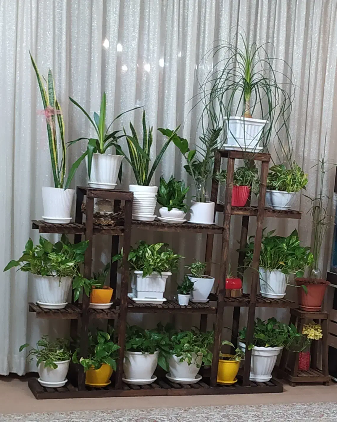 پایه گل|گل و گیاه طبیعی|مشهد, موسوی قوچانی|دیوار