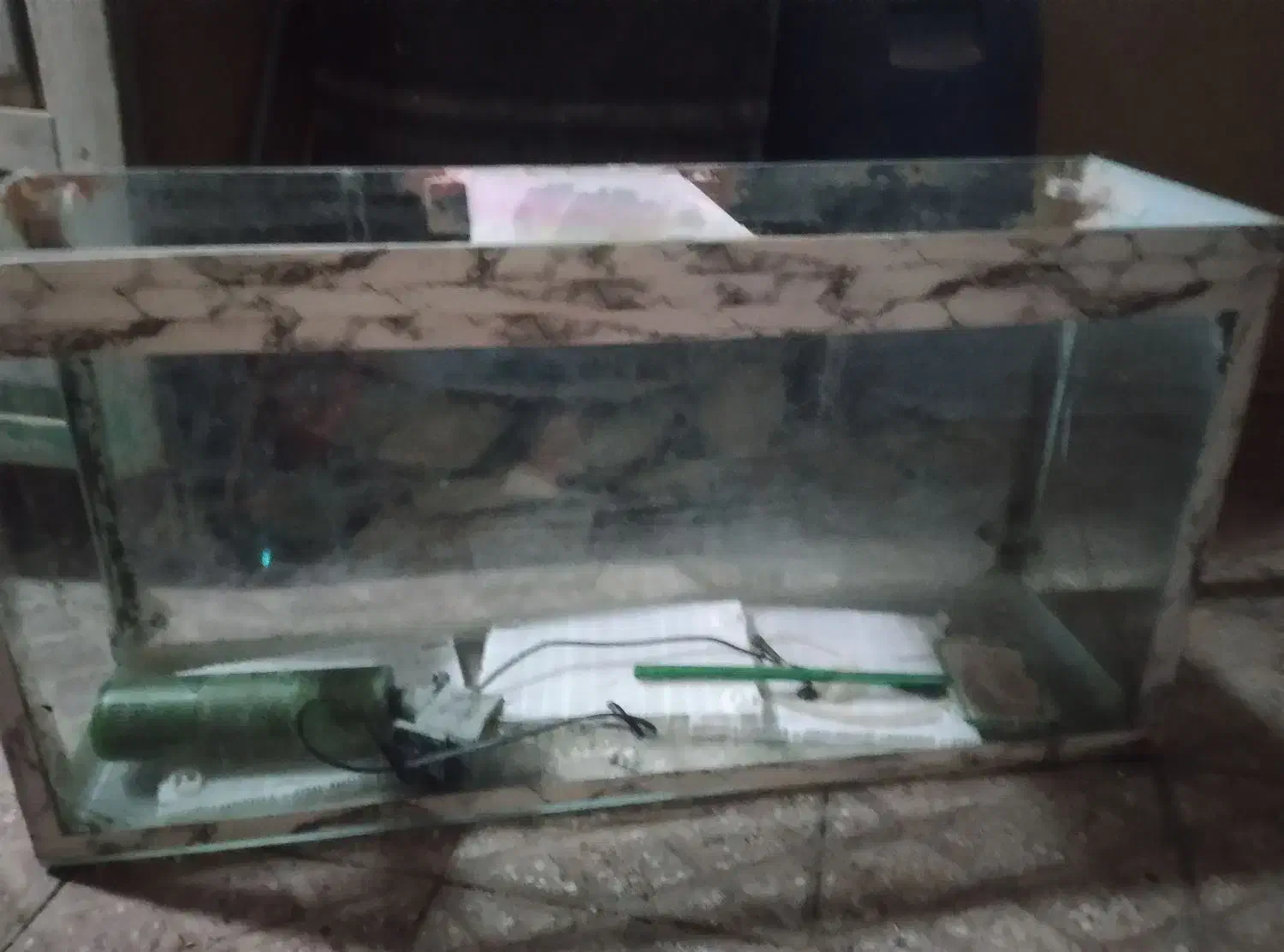 اکواریوم|ماهی|مریوان, |دیوار