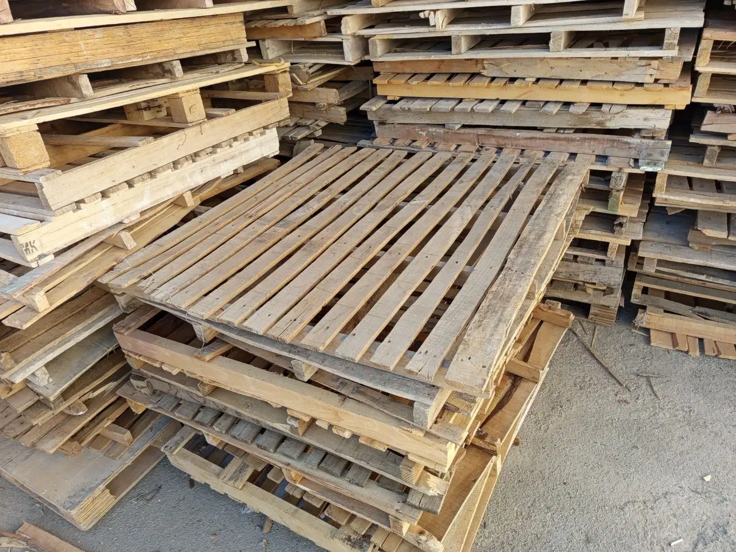 پالت در انواع سایز موجود داریم برای فروش|عمدهفروشی|ربط, |دیوار