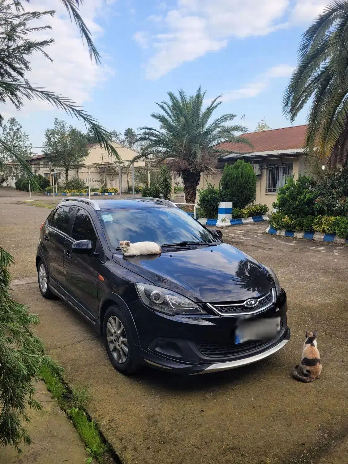 ام وی ام 315s اکسلنت تمیز مدل ۹۶|خودرو سواری و وانت|رشت, استادسرا|دیوار