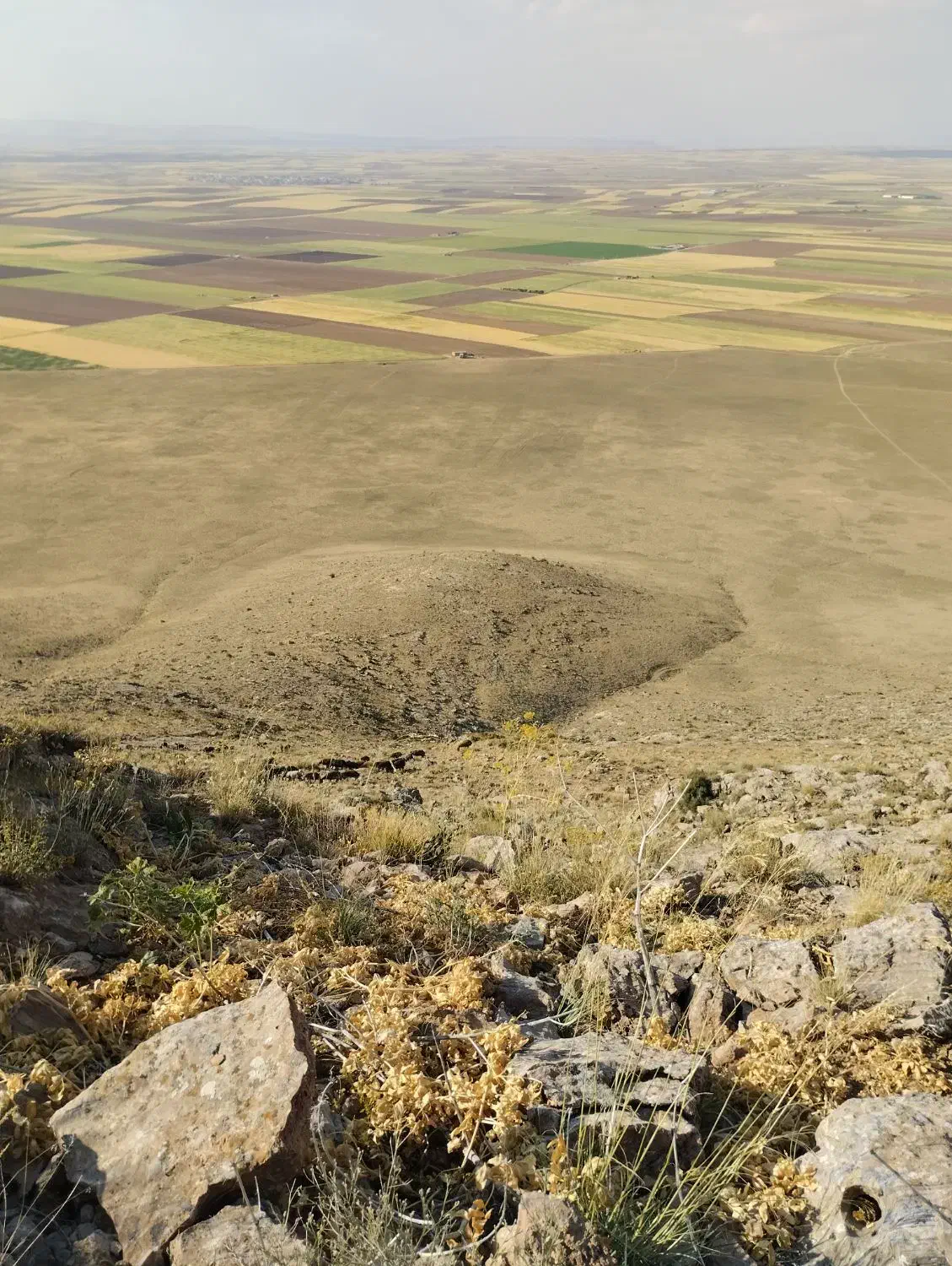 کاه|حیوانات مزرعه|بزینه رود, |دیوار