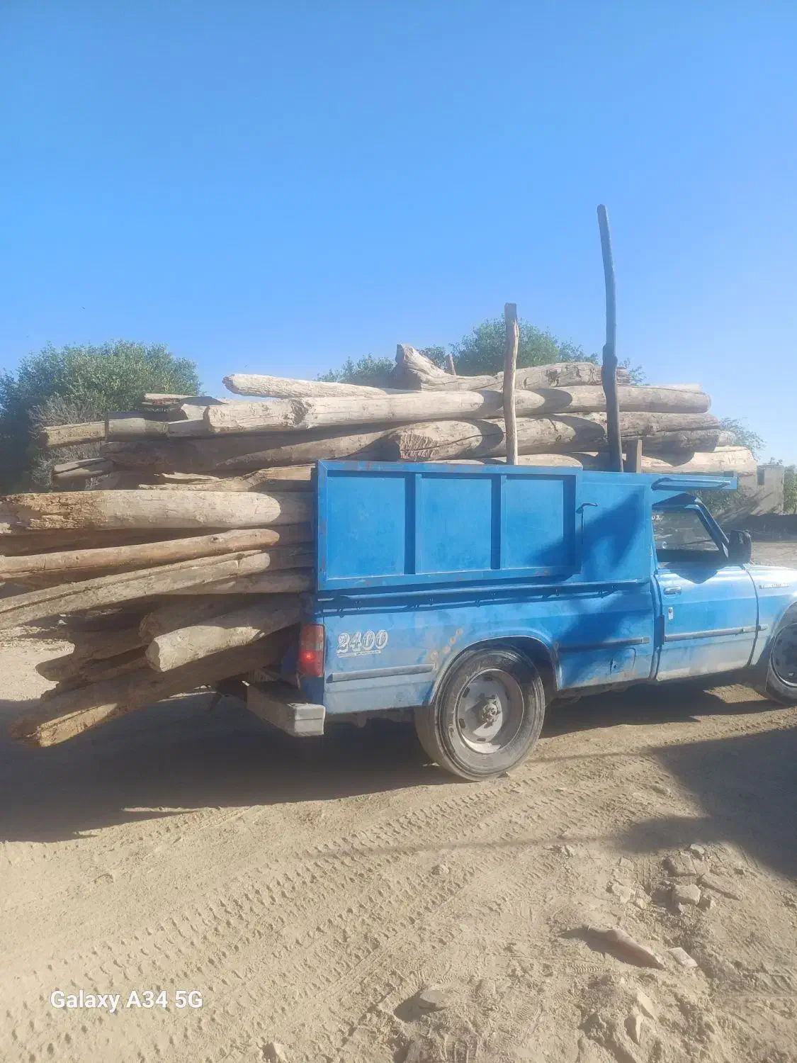 خرید چوب های باغی و میوه ای|خدمات باغبانی و درختکاری|ملایر, |دیوار