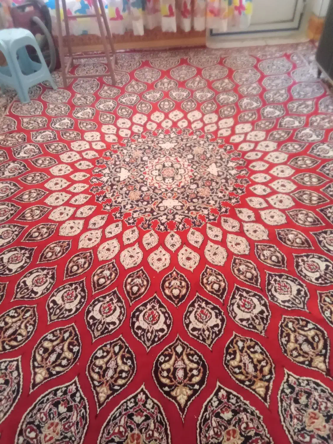 فرش دوازده متری|فرش|تاکستان, |دیوار