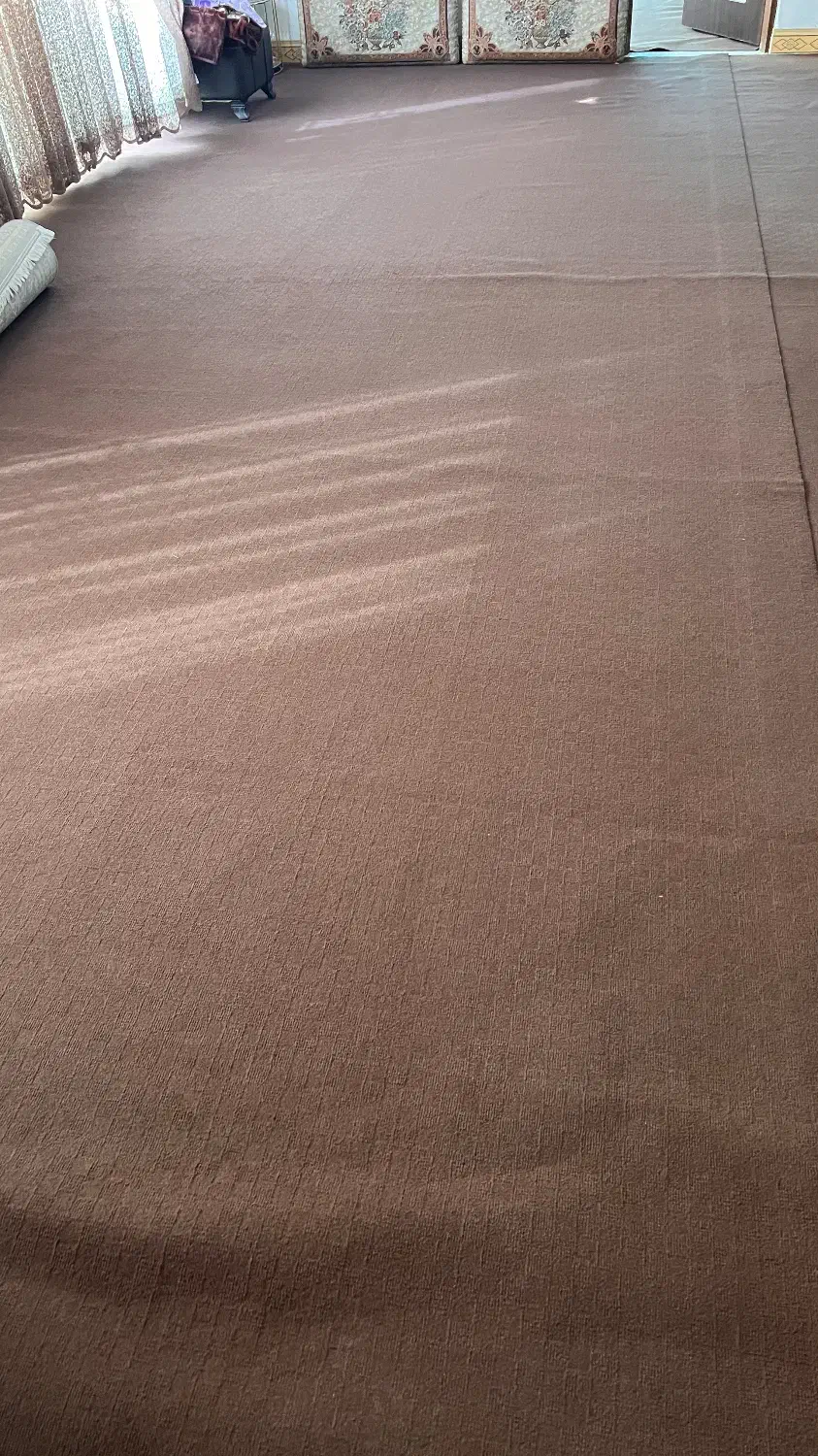 موکت قهوه ایی تمیز|موکت|ایلام, |دیوار