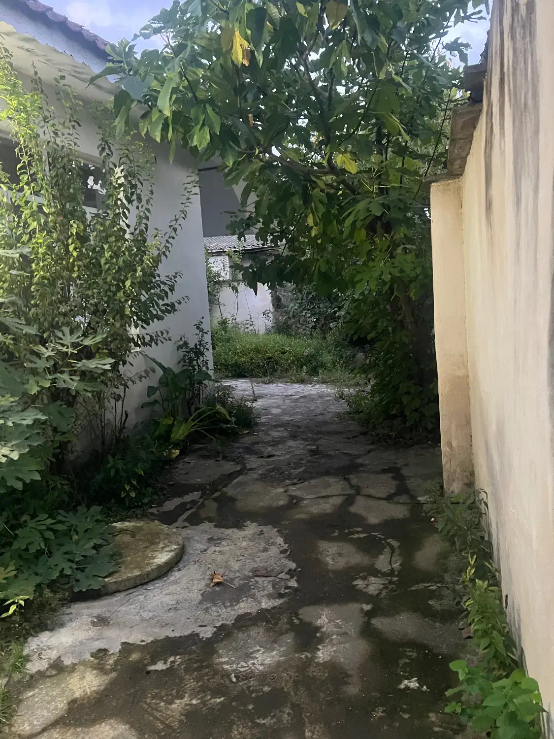 فروش زمین مسکونی داخل شهر (ویلا قدیمی دارد)|فروش زمین و ملک کلنگی|آستارا, |دیوار