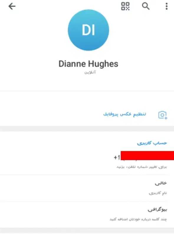 یک عدد شماره مجازی آمریکا ( فروش فوری )|لوازم جانبی موبایل و تبلت|تهران, زعفرانیه|دیوار