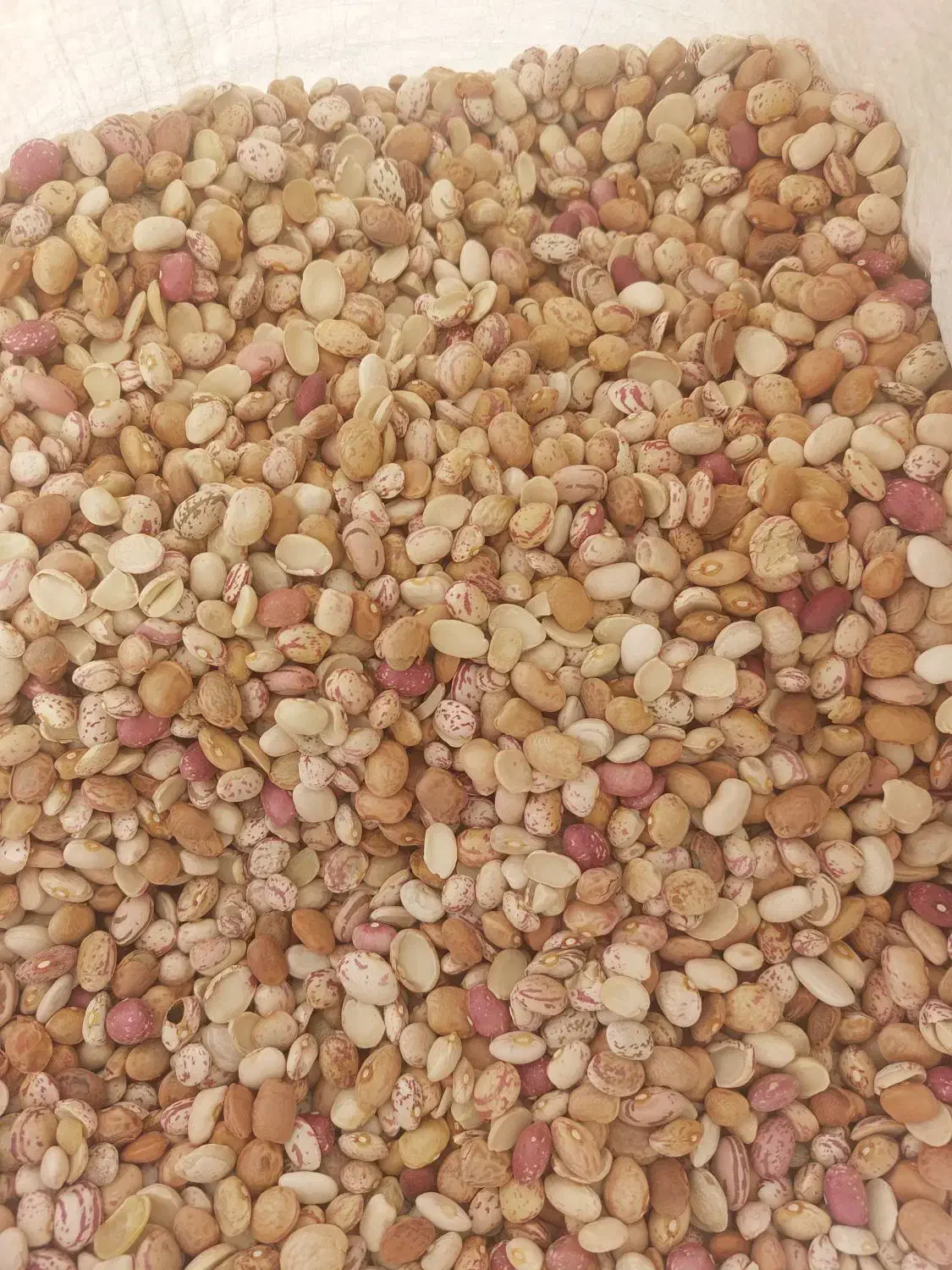 لوبیا آشی|خوردنی و آشامیدنی|بهمن صغاد, |دیوار