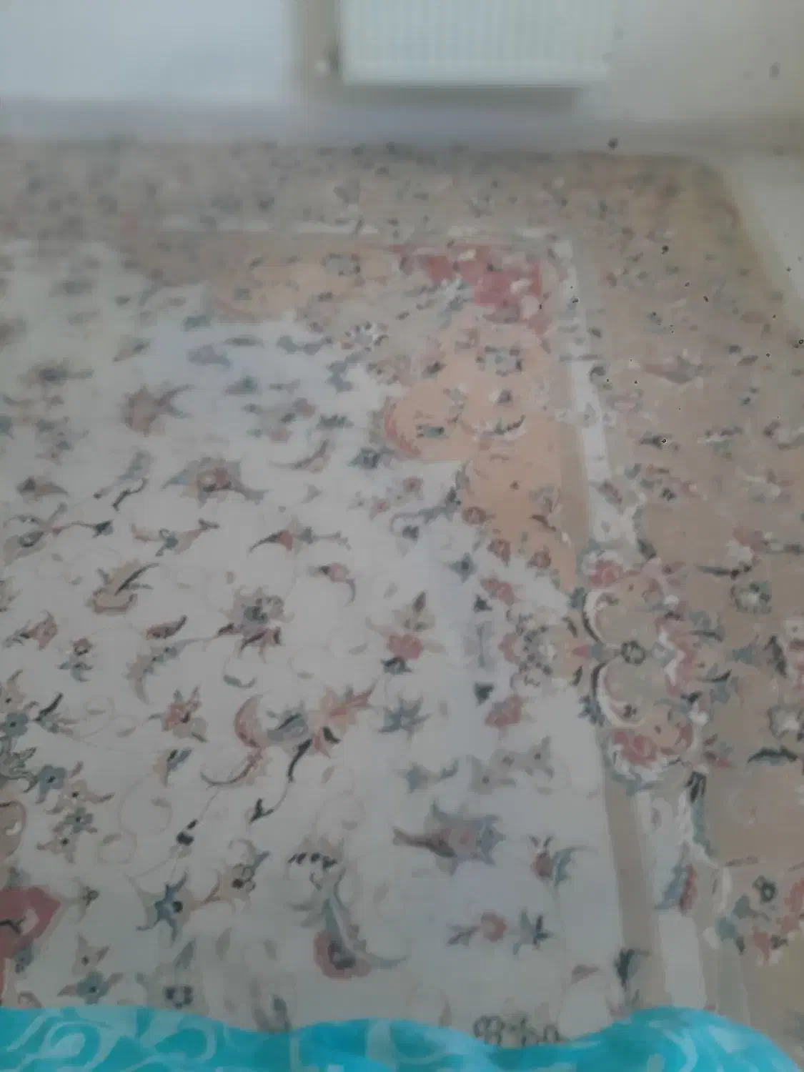 فرش ۱۲ متری مشهد|فرش|رودهن, |دیوار