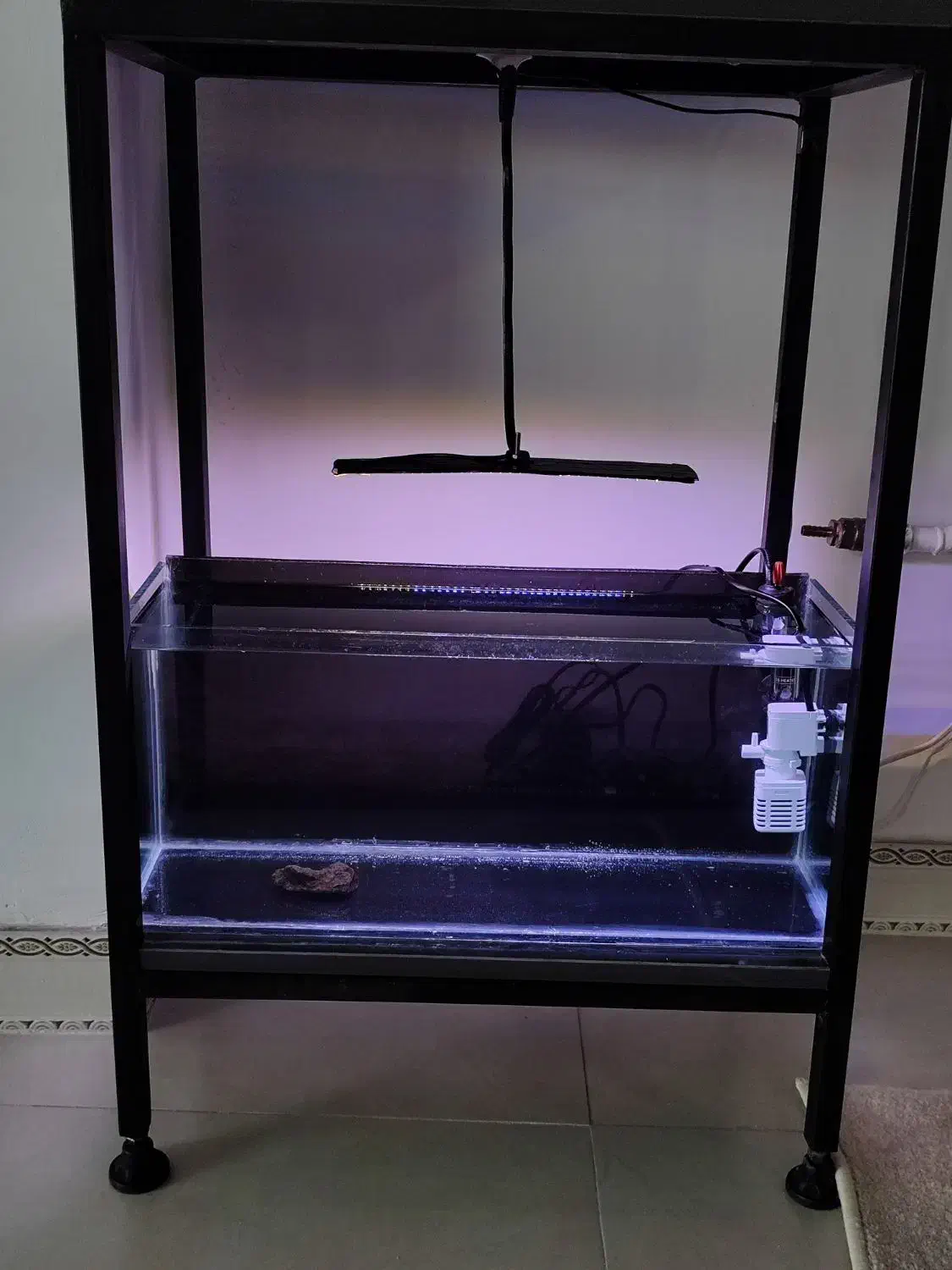 اکواریوم نو با وسایل مفت|ماهی|سنندج, |دیوار