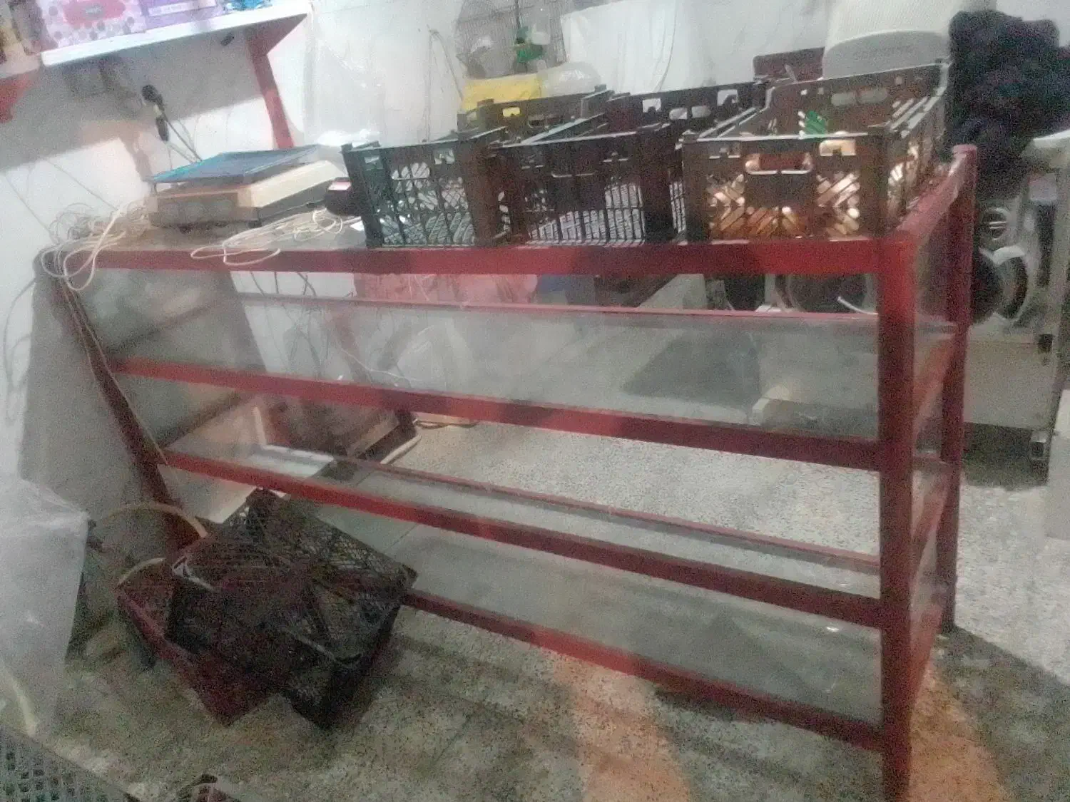 ویترین مغازه کاملا نو|فروشگاه و مغازه|گرمی, |دیوار