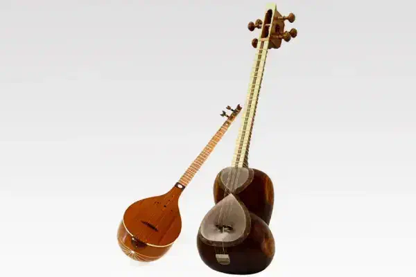 مدرس تار و سه تار خانم هستم|خدمات آموزشی|پردیس, فاز ۲|دیوار