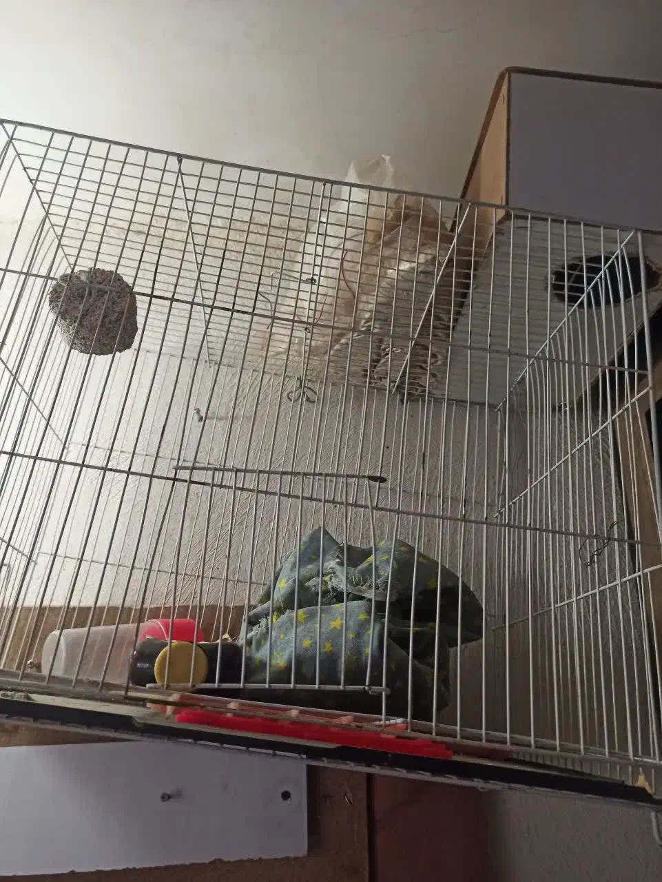 قفس|لوازم جانبی حیوانات|مشهد, شهرک لشکر (شهرک غرب)|دیوار