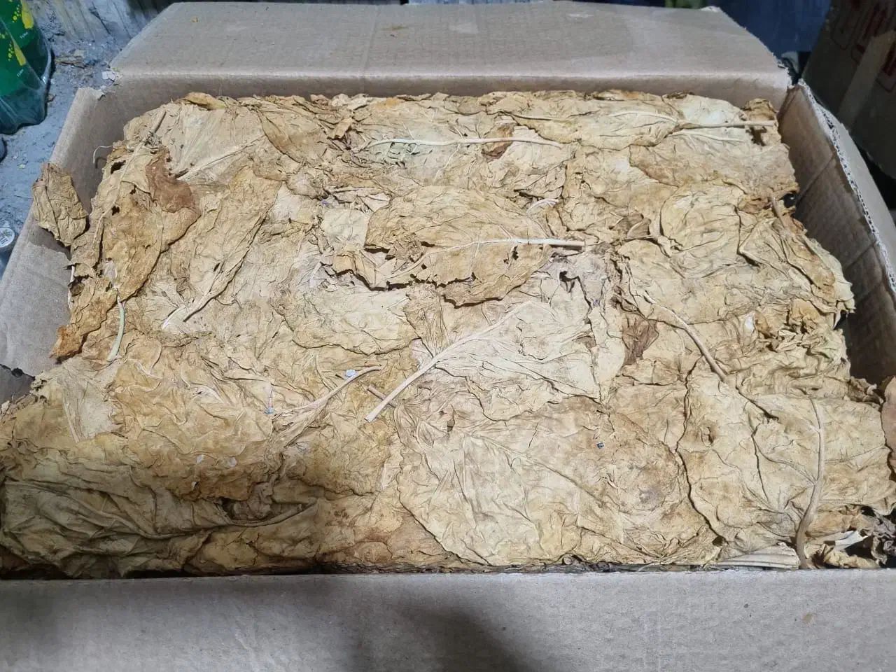 برگ زرد درجه یک. بویری و مهر آباد|عمده‌فروشی|شبانکاره, |دیوار