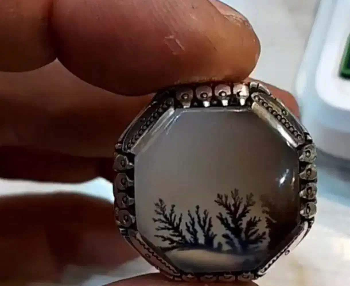 فروش شجر زیبارکاب هما|جواهرات|سنندج, |دیوار