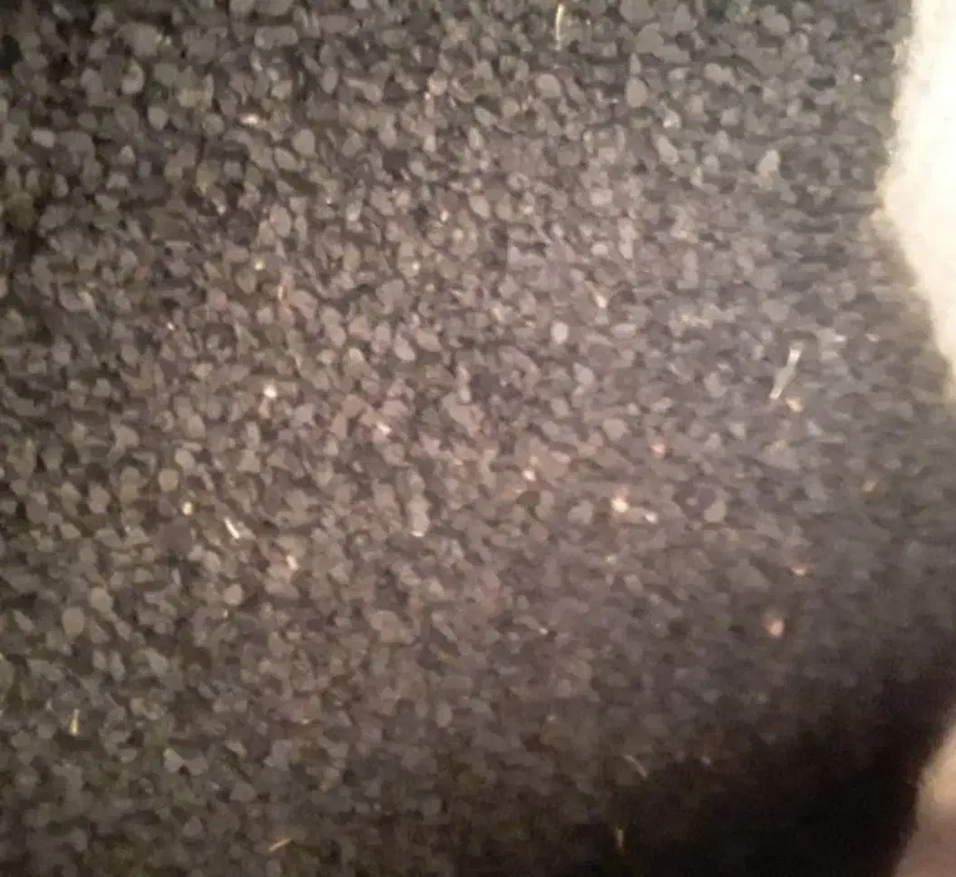 بذر پیار مینروا و سایروس|خدمات باغبانی و درختکاری|جیرفت, |دیوار