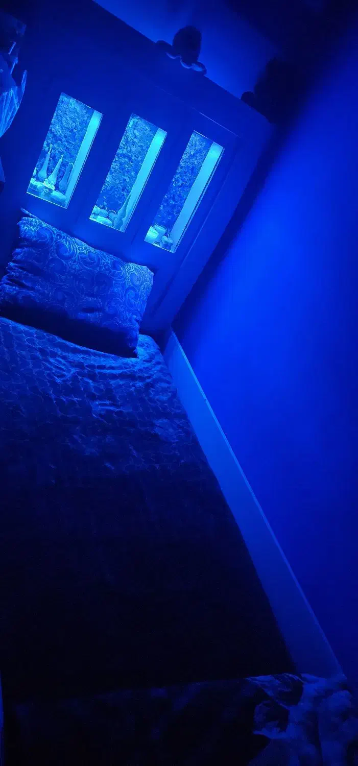 تخت یک نفره|تخت و سرویس خواب|بوشهر, |دیوار