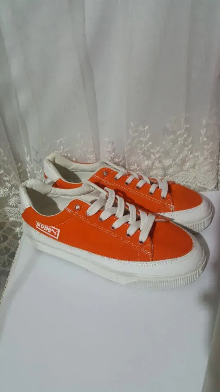 سایز ۳۸|کیف، کفش، کمربند|قم, چهار مردان|دیوار