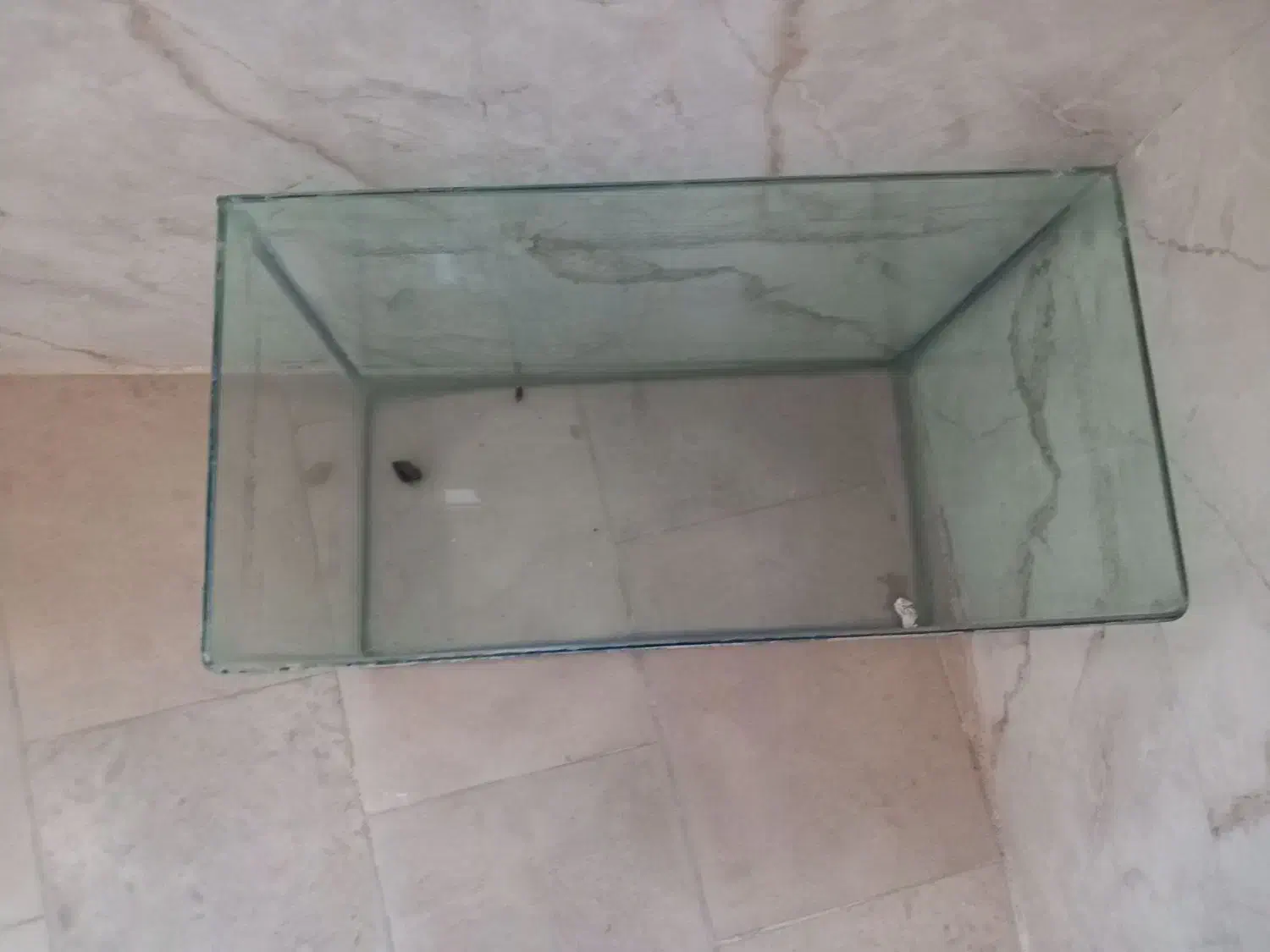 آکواریوم  با تمام وسایل|ماهی|پاکدشت, پاکدشت (مامازند)|دیوار