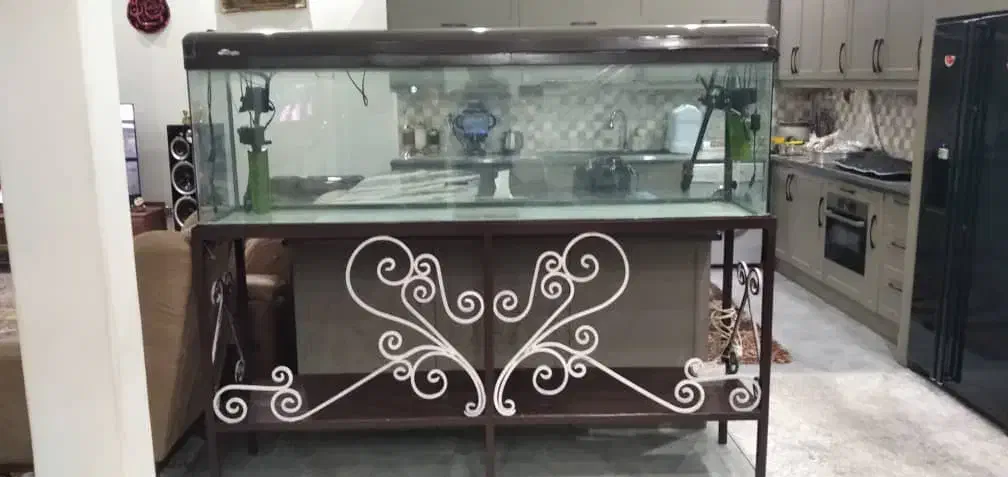 آکواریوم|ماهی|شهریار, بکه|دیوار