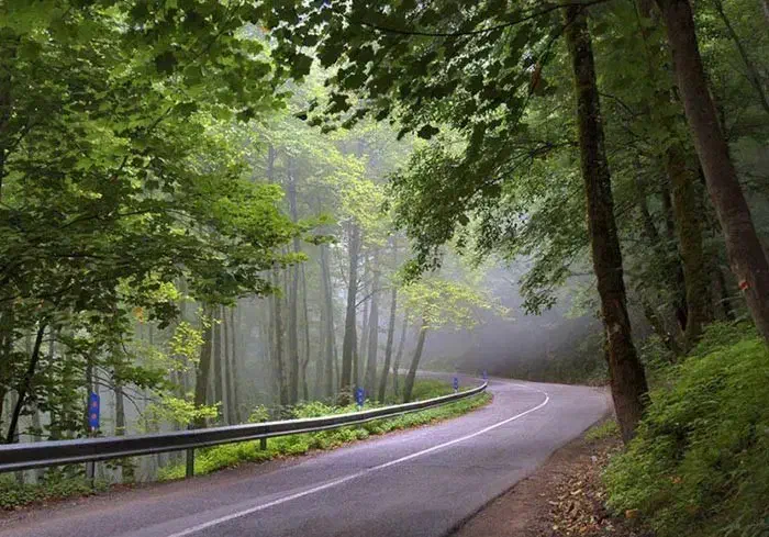 همسفر طبیعت گردی|فعالیت داوطلبانه|محمدشهر, شهرک پیام (مهرالبرز)|دیوار