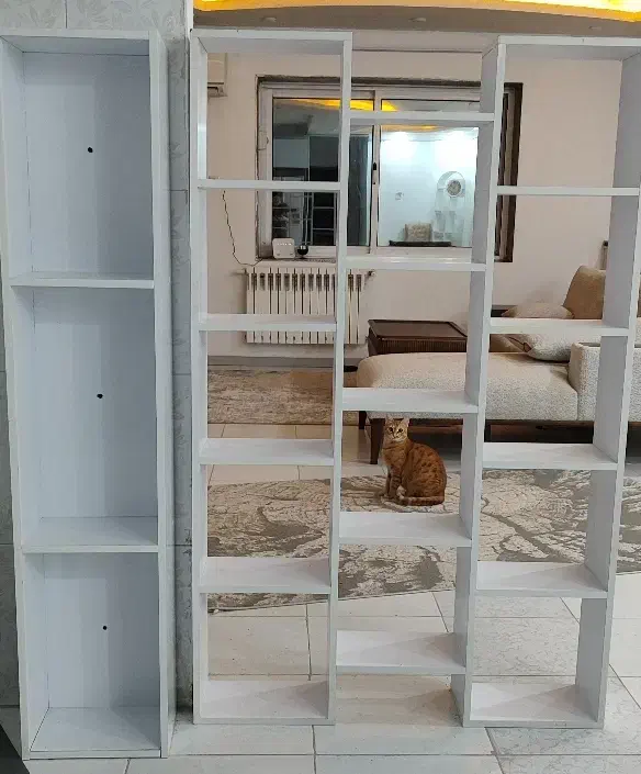 شلف ۳ طبقه بزرگ|کتابخانه، شلف، قفسه‌های دیواری|بندر انزلی, ساحل قو|دیوار