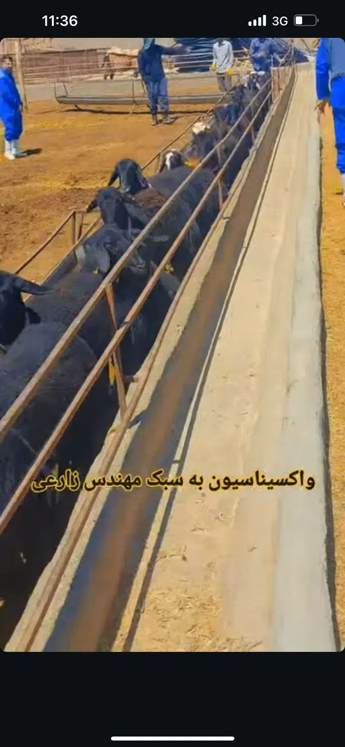 نیازمند یک نفر نیرو کار|استخدام سرایداری و نظافت|کامیاران, |دیوار