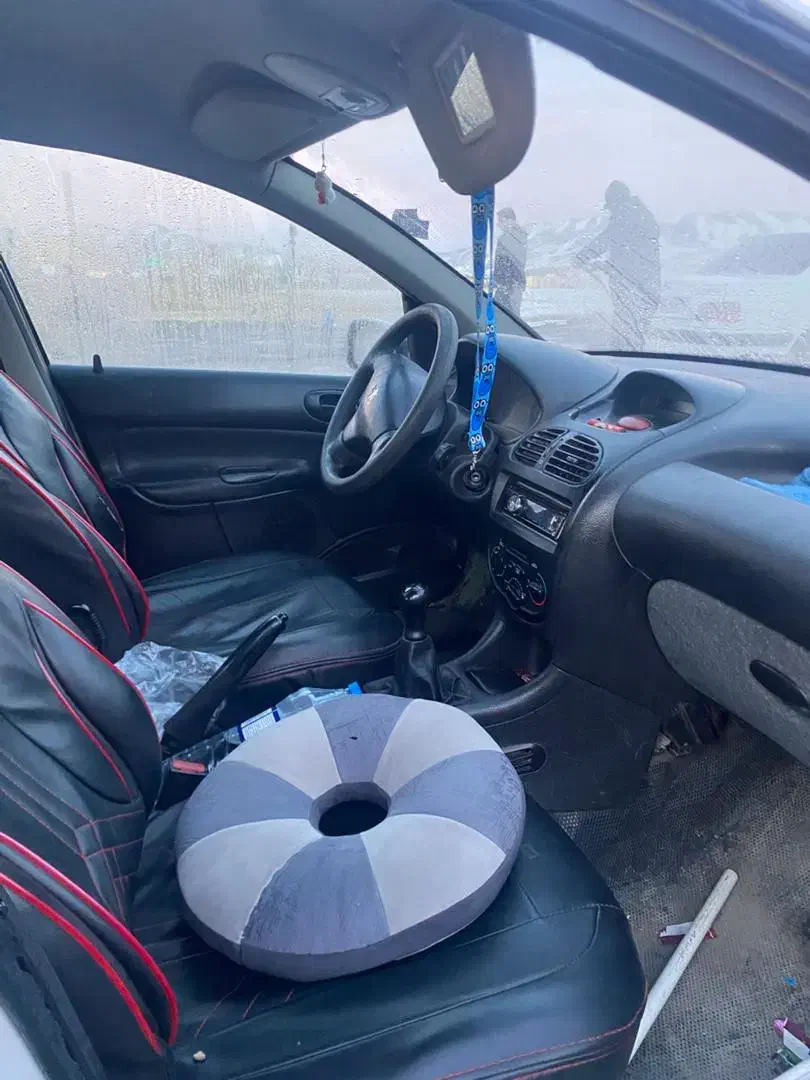 پژو 206 سه تیکه رنگ|خودرو سواری و وانت|سقز, |دیوار