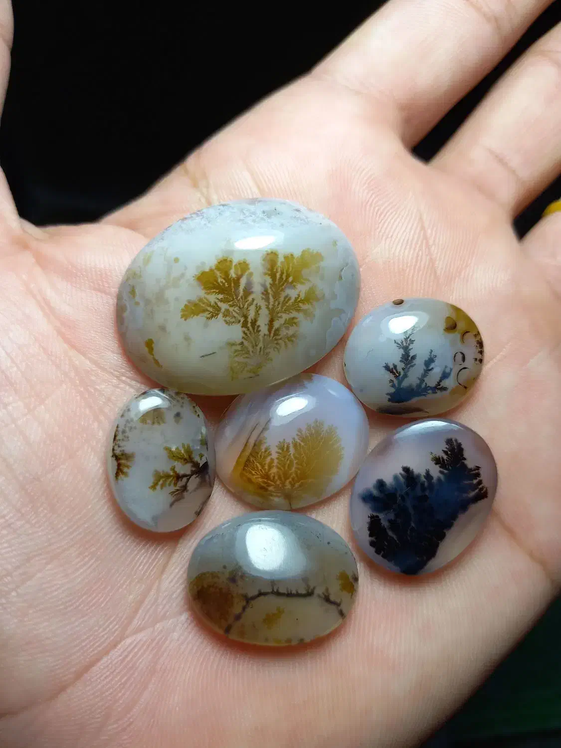 مجموعه‌ی ۶ عددی شجر قائن|جواهرات|فردوس (خراسان), |دیوار