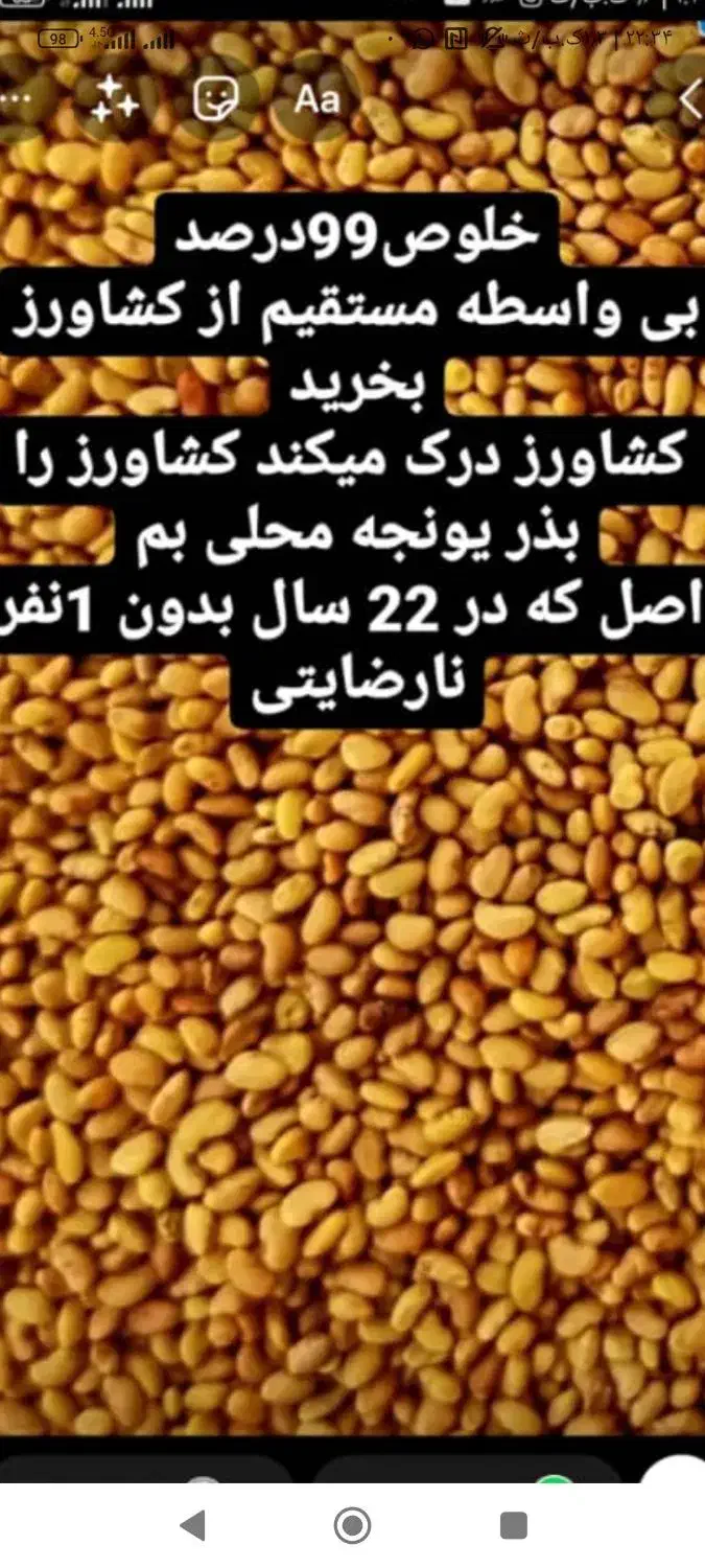 فروش بذر یونجه گرمسیری کل استان کشاورز|خدمات باغبانی و درختکاری|نرماشیر, |دیوار