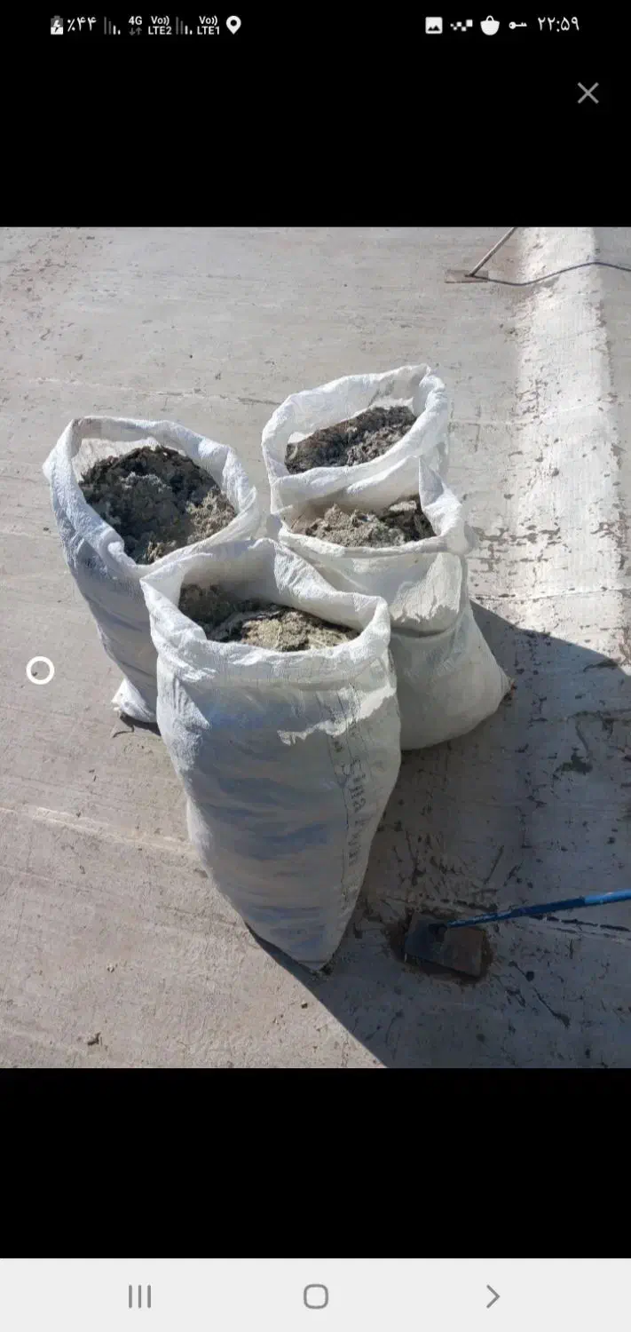 کودکبوتر|گل و گیاه طبیعی|نهاوند, |دیوار