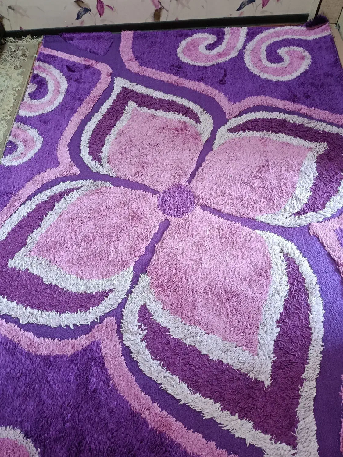 فرش 6متری|فرش|تربتحیدریه, حسنی بالا|دیوار