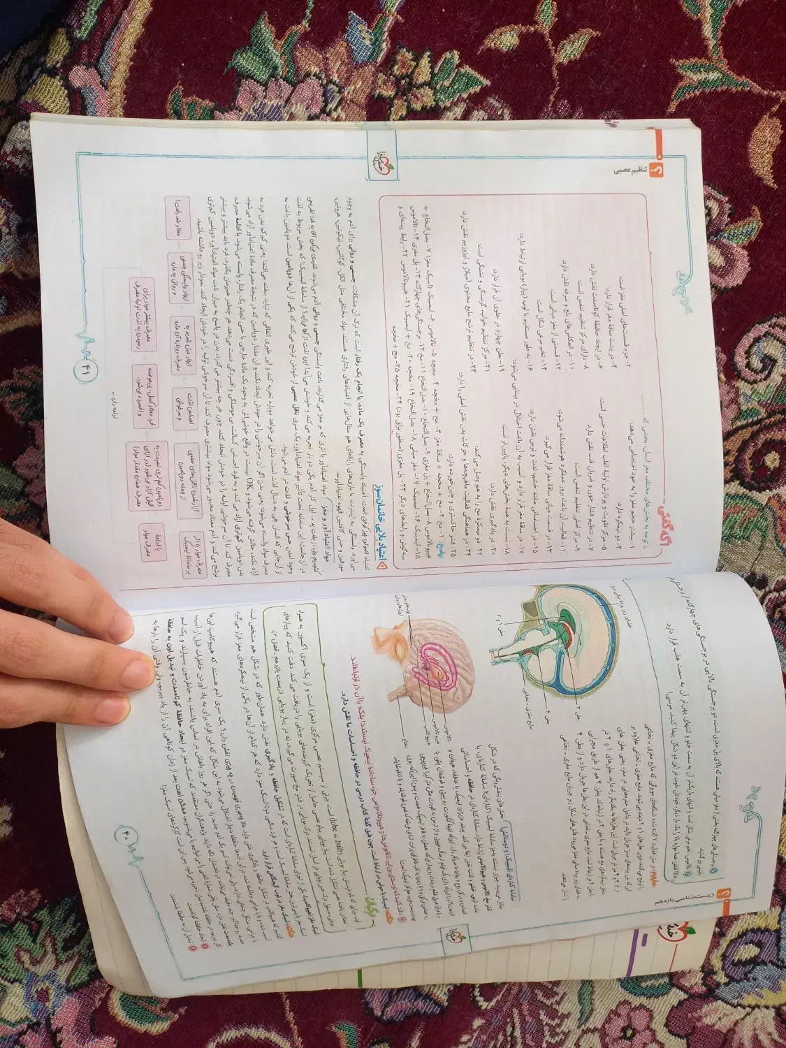 کتاب کنکور زیست|کتاب و مجله آموزشی|محمدیه-قزوین, |دیوار