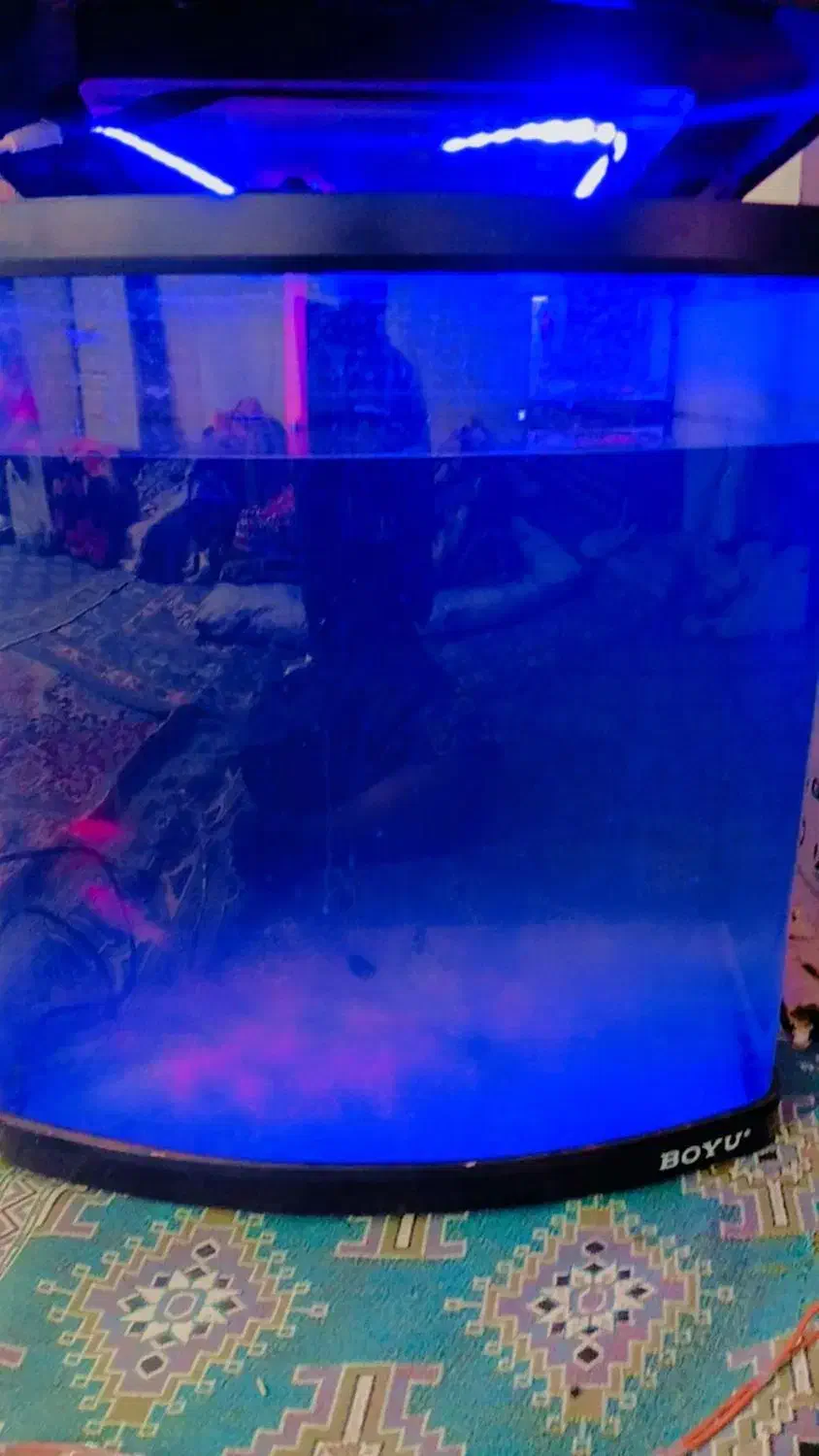 آکواریوم|ماهی|اهواز, اسلام آباد غربی|دیوار