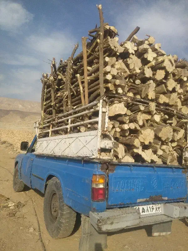 چوب|خدمات باغبانی و درختکاری|قیروکارزین, |دیوار