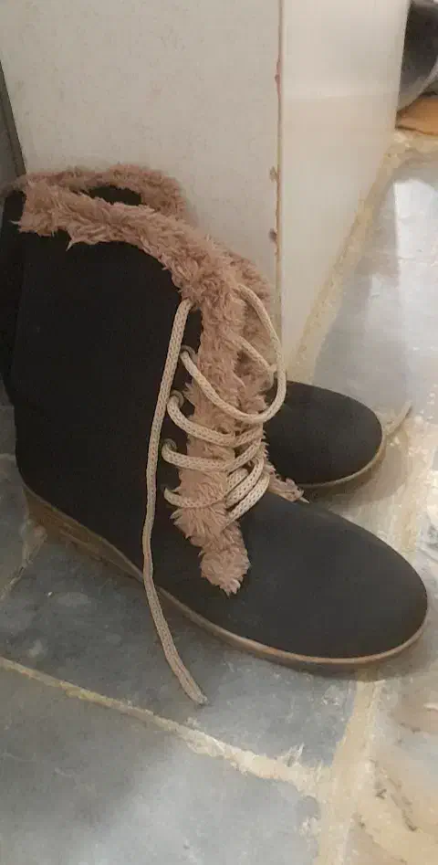 کفش در حدنو|کیف، کفش، کمربند|سقز, |دیوار