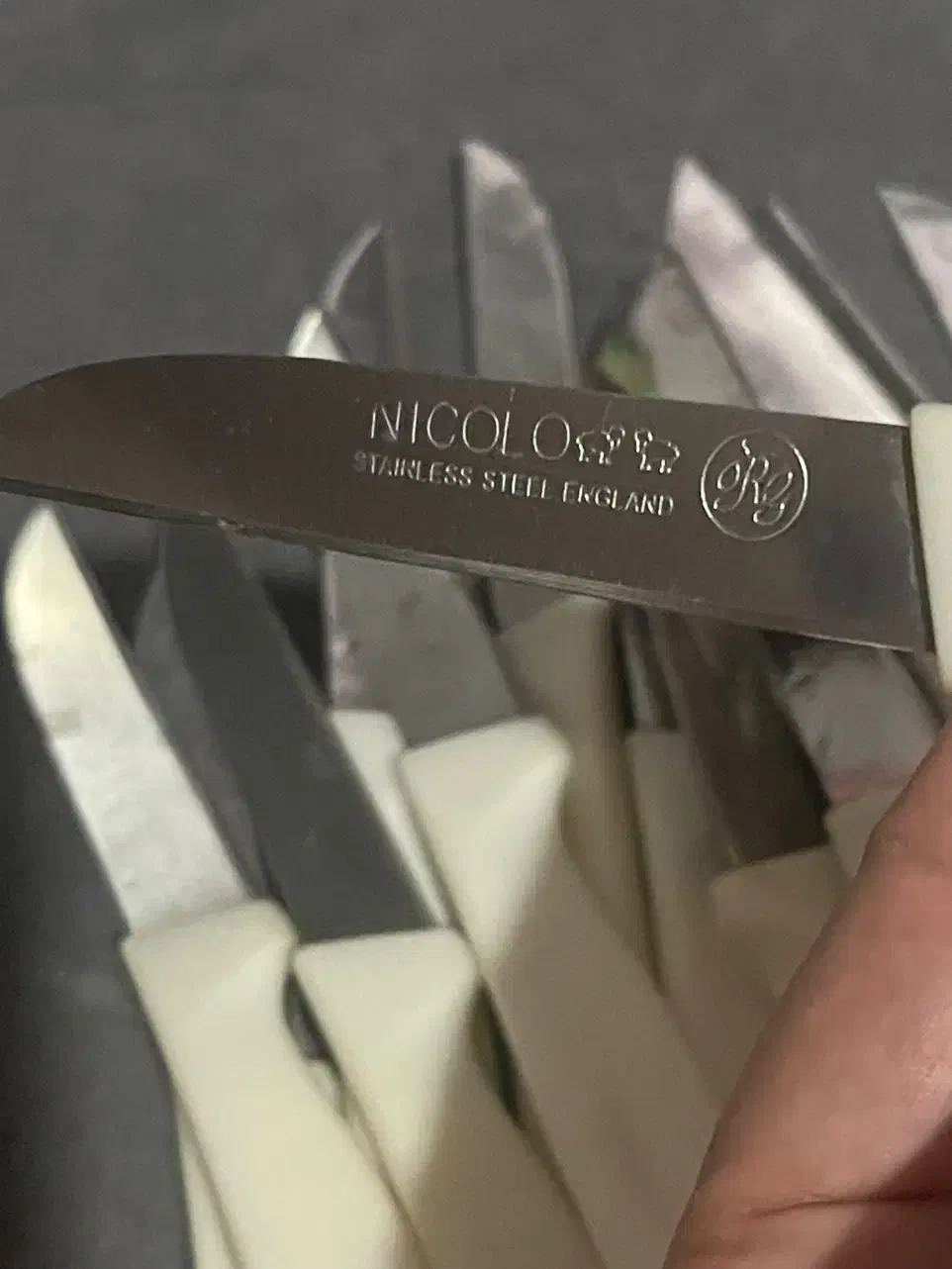 چاقو میوه خوری تیز ۱۶ عدد|ظروف سرو و پذیرایی|هشتگرد, هشتگرد قدیم|دیوار