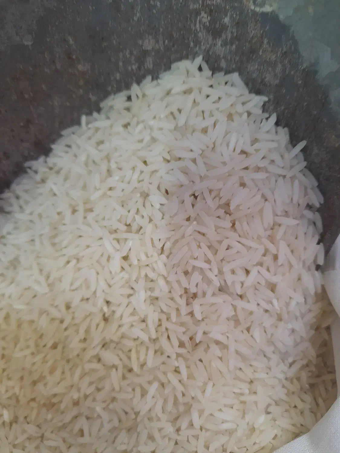 برنج هاشمی درجه یک گیلان تازه۳۱۰ت فوق اعلا|عمده‌فروشی|اردبیل, |دیوار